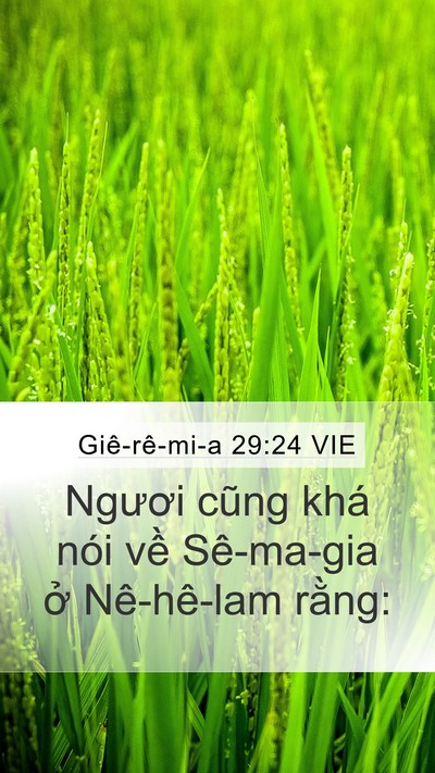 Giê-rê-mi-a 29:24 VIE Bible Verse Image