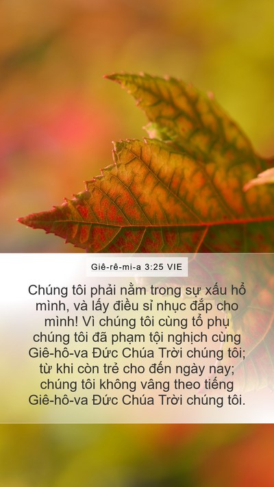 Giê-rê-mi-a 3:25 VIE Mobile Phone Wallpaper - Chúng tôi phải nằm trong sự xấu hổ - Mobile Bible Verse Wallpaper