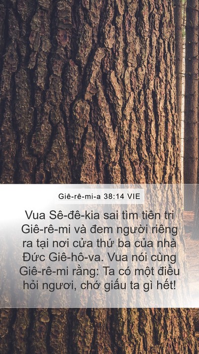 Giê-rê-mi-a 38:14 VIE Bible Verse Image
