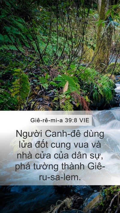 Giê-rê-mi-a 39:8 VIE Bible Verse Image