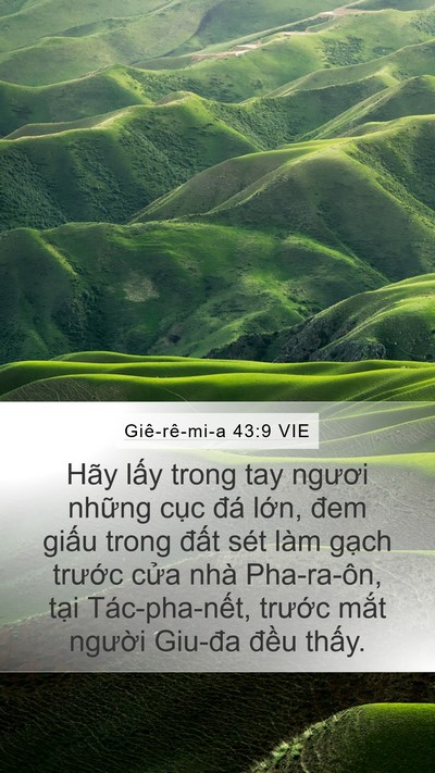 Giê-rê-mi-a 43:9 VIE Bible Verse Image