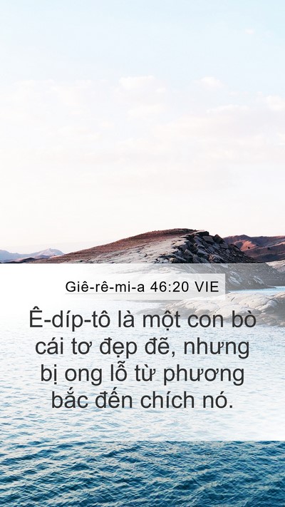 Giê-rê-mi-a 46:20 VIE Bible Verse Image