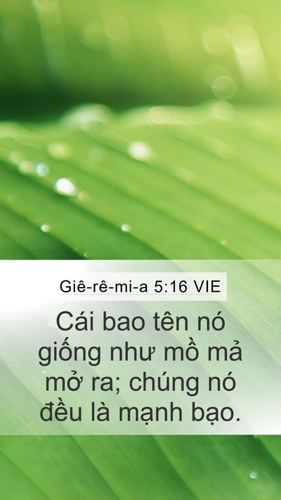 Giê-rê-mi-a 5:16 VIE Bible Verse Image