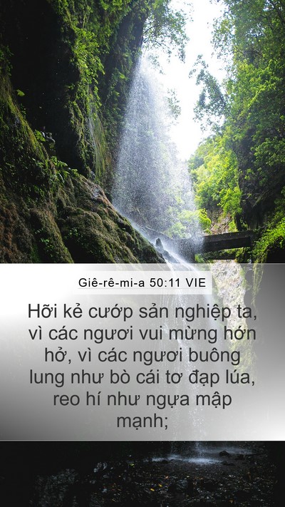 Giê-rê-mi-a 50:11 VIE Mobile Phone Wallpaper - Hỡi kẻ cướp sản nghiệp ta, vì các - Mobile Bible Verse Wallpaper