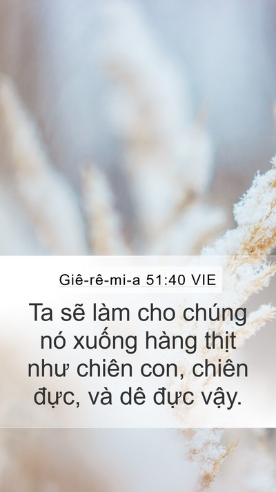 Giê-rê-mi-a 51:40 VIE Bible Verse Image
