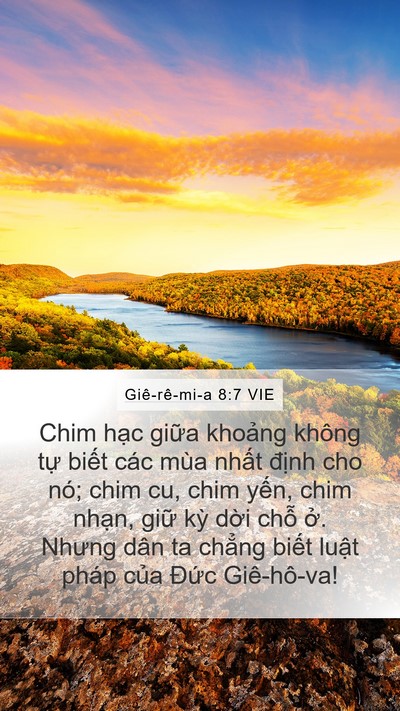 Giê-rê-mi-a 8:7 VIE Bible Verse Image