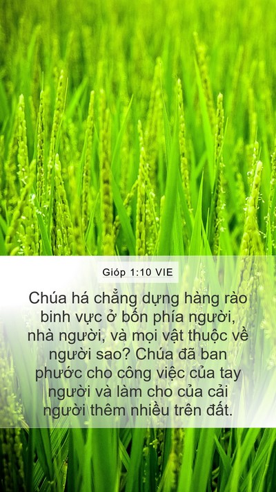 Gióp 1:10 VIE Bible Verse Image