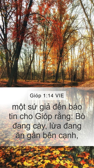 Gióp 1:14 VIE Bible Verse Image