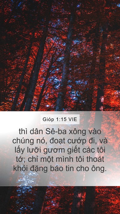 Gióp 1:15 VIE Bible Verse Image