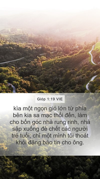 Gióp 1:19 VIE Bible Verse Image