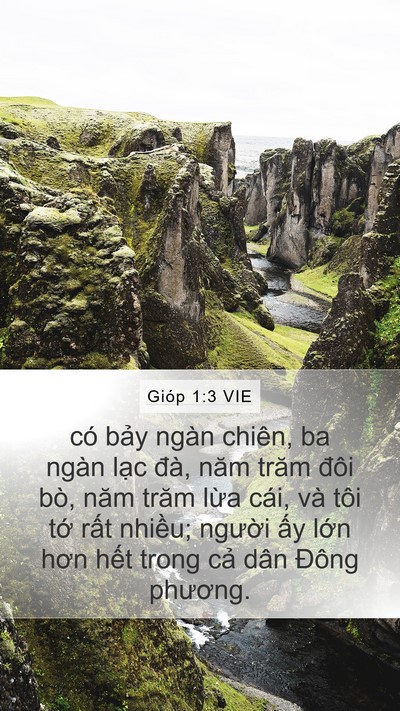 Gióp 1:3 VIE Bible Verse Image