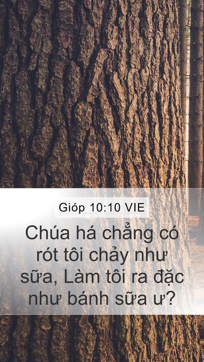 Gióp 10:10 VIE Bible Verse Image
