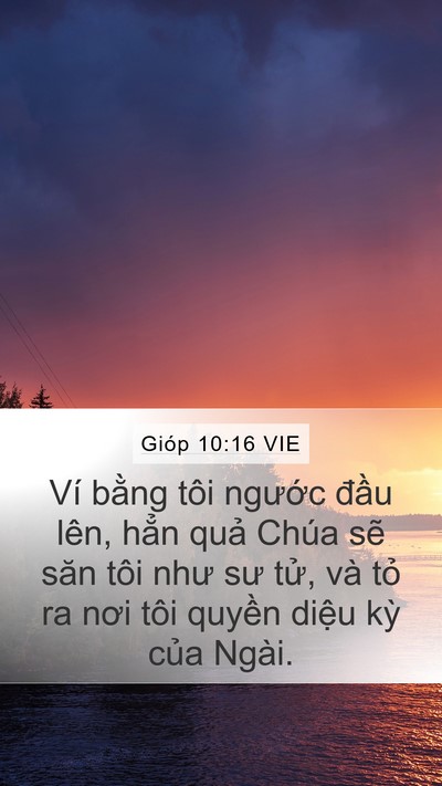 Gióp 10:16 VIE Bible Verse Image