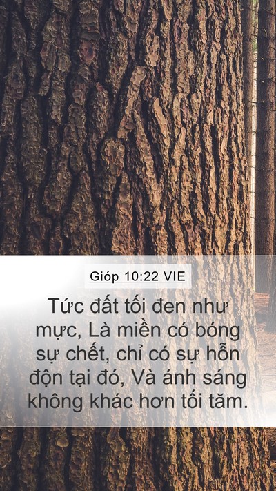 Gióp 10:22 VIE Bible Verse Image