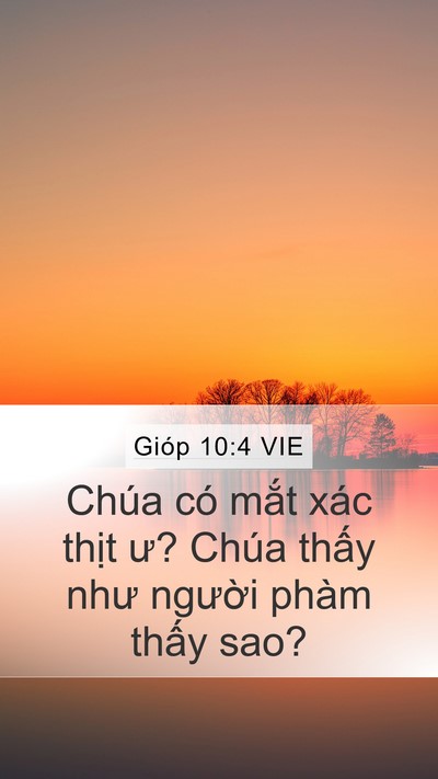 Gióp 10:4 VIE Mobile Phone Wallpaper - Chúa có mắt xác thịt ư? Chúa thấy như - Mobile Bible Verse Wallpaper