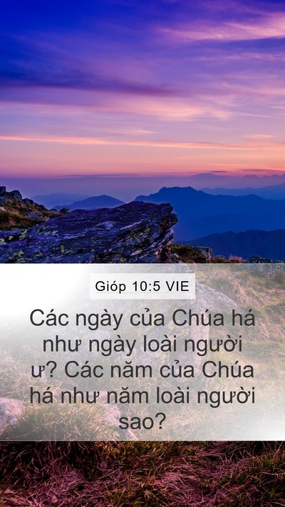 Gióp 10:5 VIE Mobile Phone Wallpaper - Các ngày của Chúa há như ngày loài - Mobile Bible Verse Wallpaper
