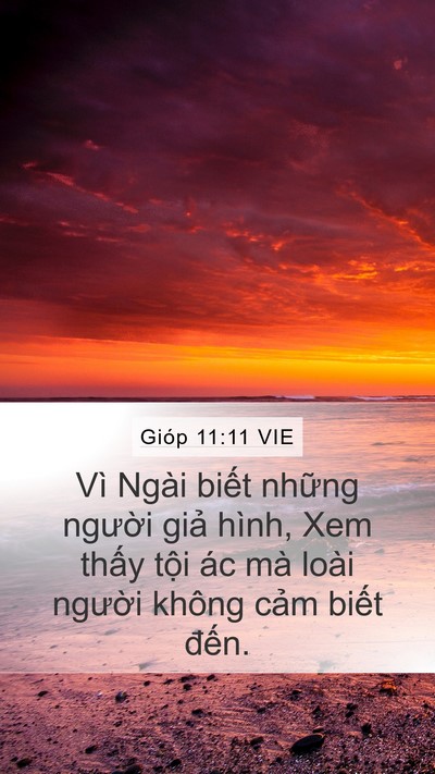 Gióp 11:11 VIE Bible Verse Image