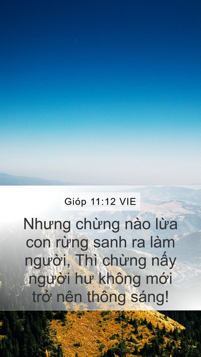 Gióp 11:12 VIE Bible Verse Image