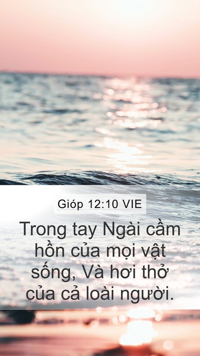 Gióp 12:10 VIE Bible Verse Image