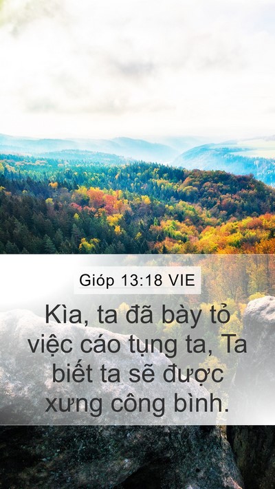Gióp 13:18 VIE Bible Verse Image