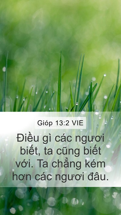 Gióp 13:2 VIE Bible Verse Image