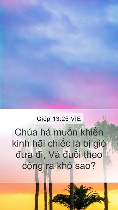 Gióp 13:25 VIE Bible Verse Image