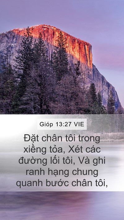 Gióp 13:27 VIE Bible Verse Image