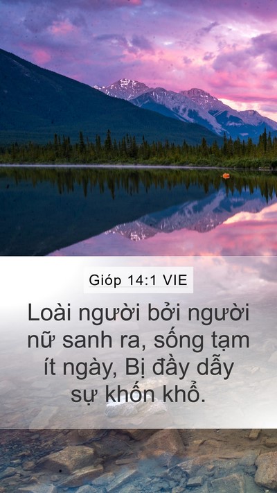 Gióp 14:1 VIE Bible Verse Image