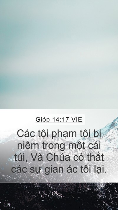 Gióp 14:17 VIE Bible Verse Image
