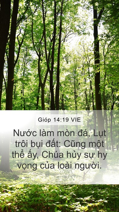 Gióp 14:19 VIE Bible Verse Image