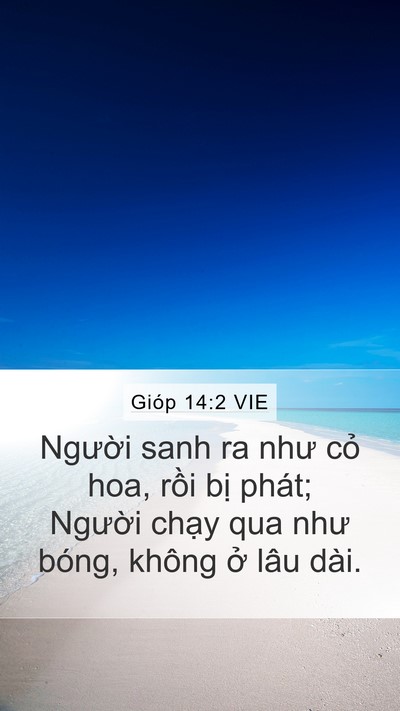 Gióp 14:2 VIE Bible Verse Image
