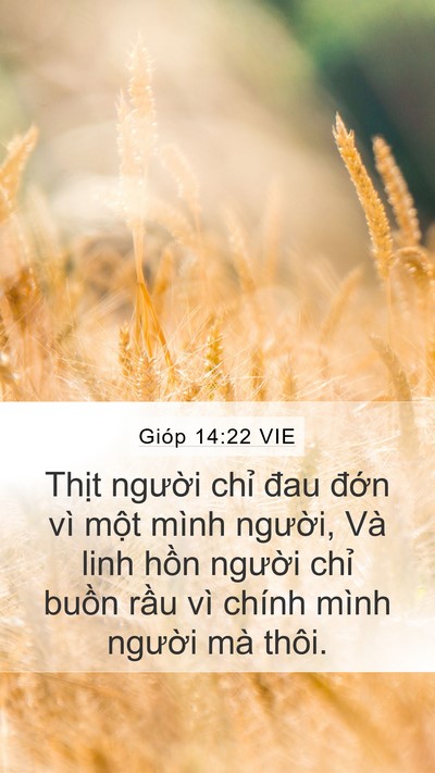 Gióp 14:22 VIE Mobile Phone Wallpaper - Thịt người chỉ đau đớn vì một mình - Mobile Bible Verse Wallpaper