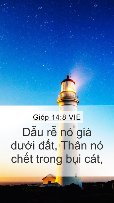 Gióp 14:8 VIE Mobile Phone Wallpaper - Dẫu rễ nó già dưới đất, Thân nó - Mobile Bible Verse Wallpaper