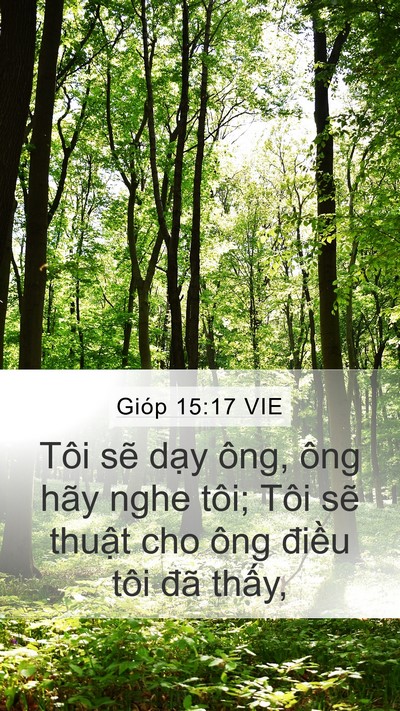 Gióp 15:17 VIE Bible Verse Image
