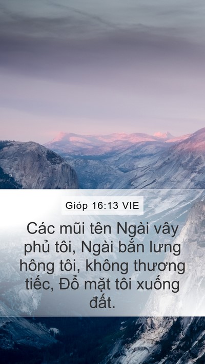 Gióp 16:13 VIE Bible Verse Image