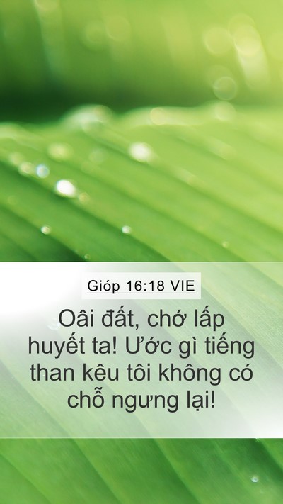 Gióp 16:18 VIE Bible Verse Image