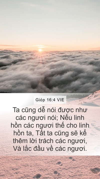 Gióp 16:4 VIE Bible Verse Image