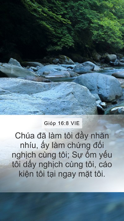 Gióp 16:8 VIE Bible Verse Image
