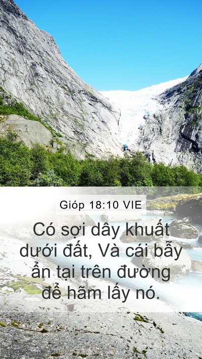 Gióp 18:10 VIE Mobile Phone Wallpaper - Có sợi dây khuất dưới đất, Và cái - Mobile Bible Verse Wallpaper