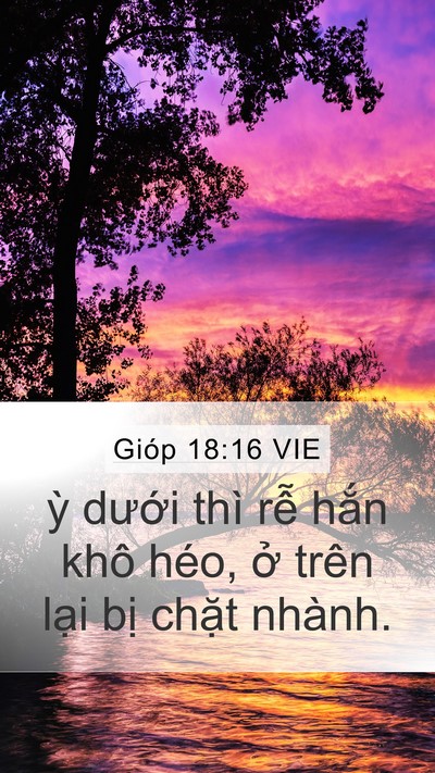 Gióp 18:16 VIE Bible Verse Image
