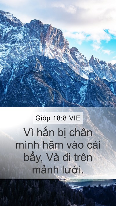 Gióp 18:8 VIE Bible Verse Image