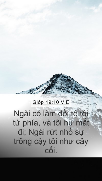 Gióp 19:10 VIE Bible Verse Image