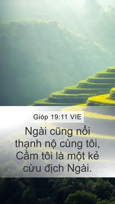 Gióp 19:11 VIE Bible Verse Image
