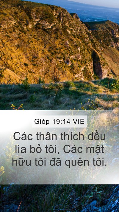 Gióp 19:14 VIE Bible Verse Image
