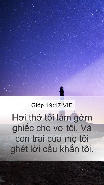 Gióp 19:17 VIE Bible Verse Image