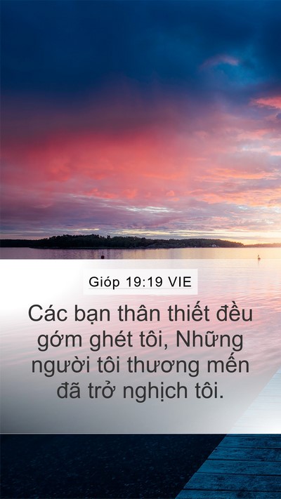 Gióp 19:19 VIE Bible Verse Image