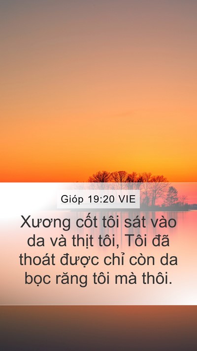 Gióp 19:20 VIE Bible Verse Image