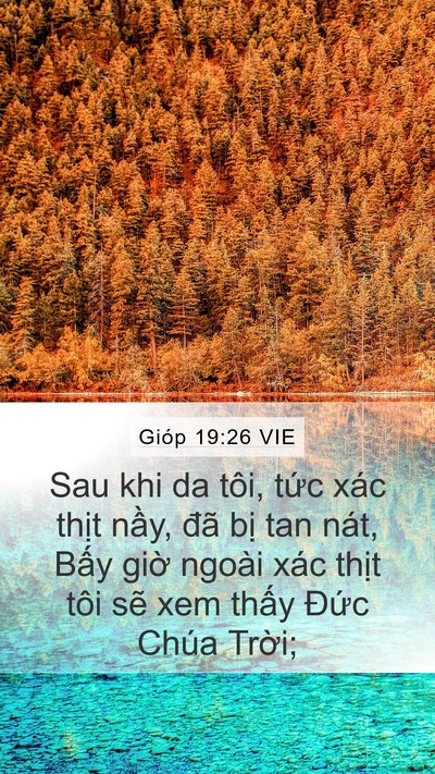 Gióp 19:26 VIE Bible Verse Image