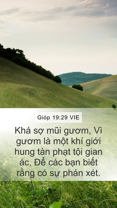 Gióp 19:29 VIE Bible Verse Image