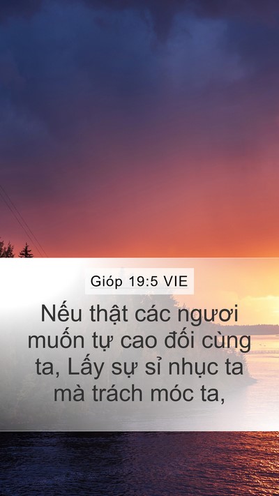Gióp 19:5 VIE Bible Verse Image
